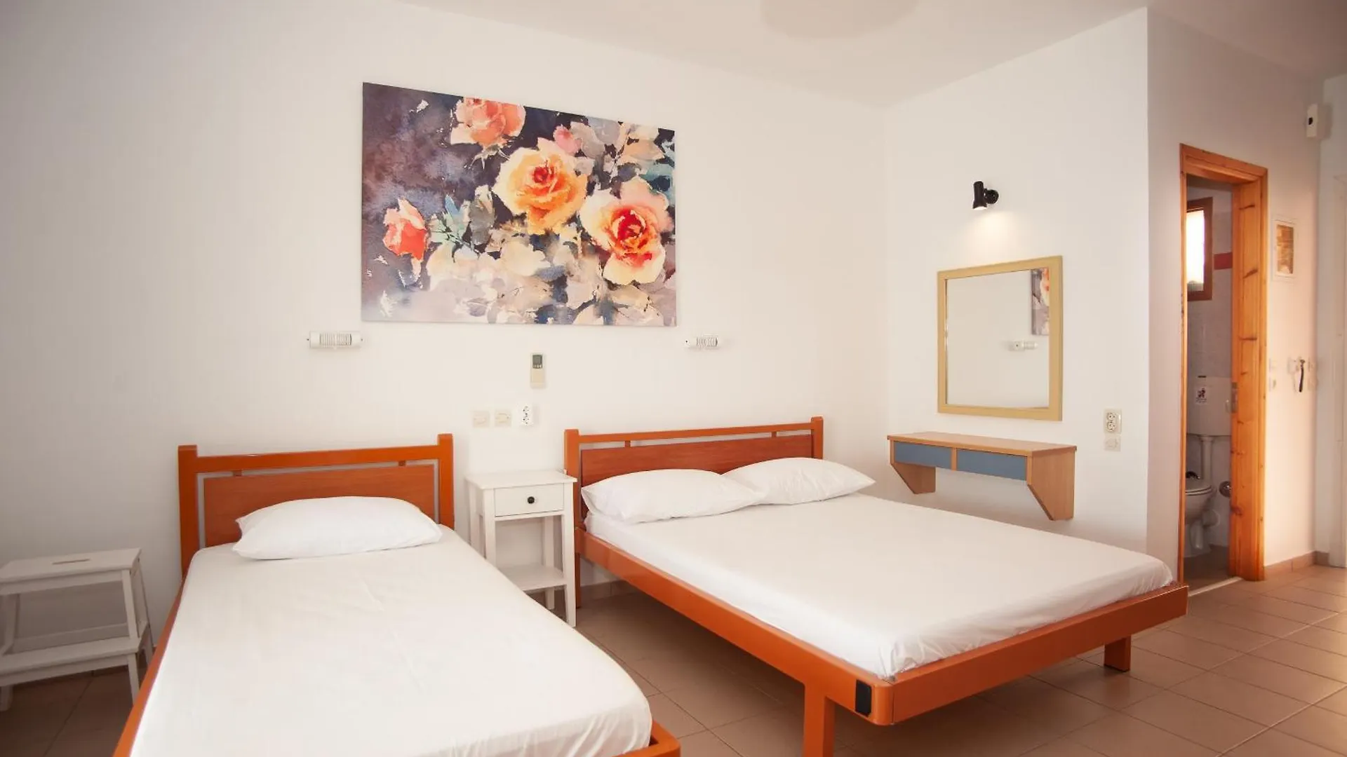 Rosa'S Beach Studios Lourdata  Greece